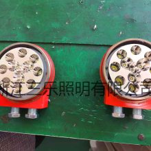 DGY36/24LX DGY5/24LX 【三乐照明 生产厂家】矿用隔爆型机车用LED信号灯