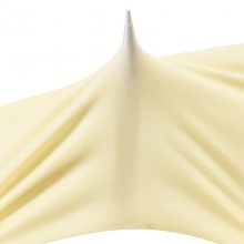 ʩʮ齺ϡԿĥ˺