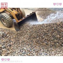 建筑工程石子 造景用石鹅卵石 大小鹅卵石批发