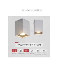 LED天花射燈筒燈無(wú)邊框COB斗膽燈嵌入式格家居場(chǎng)所酒店大堂酒店客房樓道展廳走廊柵燈