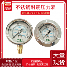 不銹鋼壓力表耐震防爆埋入式油壓表注塑機(jī)液壓站配件直立式壓力表軸向背出