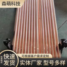 糧·ͭ ˮƽӵ ͭ׸ʴ ɭ