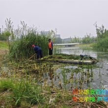 нӱ«έո ԰«έո ʪ«έո רҵĻרҵ