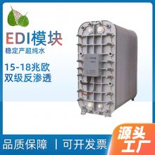 超纯水EDI模块设备反渗透高纯净水制取设备车用尿素高温EDI制药用超纯去离子水西门子