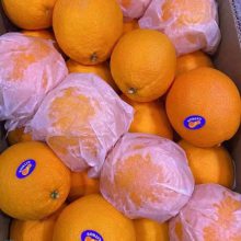 �� ��ˮ���� Ӧ���������Ĵ�ˮ���� ���г� �� ������������