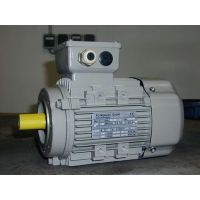 AC-MOTOREN FCA 132M-4/HE-***