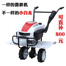 С΢ַʽǨ