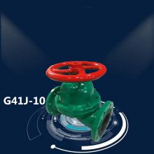 㽭һG41J-10P DN15 ֶĤ G41J ĽĤ Ĥ