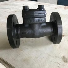 H41Y-16/25/40/64P 锻钢法兰升降式止回阀 重型材质蒸汽导热油止回阀
