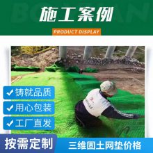 世杰塑料EM4三维植被网 草皮护坡固土网垫 14mm 16mm厚