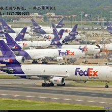 FEDEX ֿݵ һר FEDEX˫