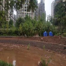 拓林 鱼塘边坡蜂巢植草格室 ***价格