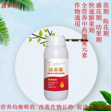 草莓花芽分化需要注意的问题