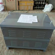 电阻箱RK51-225M-8/2H电机33KW起动调整不锈钢电阻器