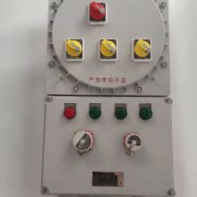 长乐-BXMD81防爆照明动力配电箱厂家
