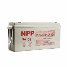 NP12-100 12V100AH NPP