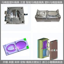 大型模具自动马桶盖注塑模具