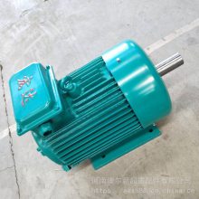 YZR250M1-6-37KW ػ ее