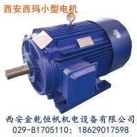 西玛小型电机 YE2-90S-2 380V 0.75KW（IP55） F级 工业通用型电机