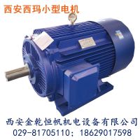 ӦYE2-200L2-6 22KW 380V IP55 ˮõȹҵͨ