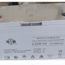 ˫ǷܱʽǦ6-GFM-100(C20)