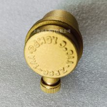ZP88-1AA 1.6MPa 110CͭԶBSP