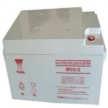 YUASA ǳNP65-12άǦ ǳ12V65AH UPSרõ