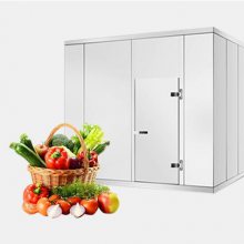 װ䶳 䶳ⶨƾѡ ⱨ