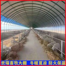 山羊养殖棚搭建 保温羊棚建设 钢架养羊棚施工厂家