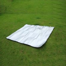 野营垫野餐垫防潮褥垫2m*1.8m防水隔脏铝箔地席沙滩草地爬行垫 雷力
