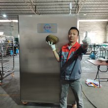 泰国榴莲快速冷冻液氮速冻柜 水果液氮冷冻设备 液氮冷冻机