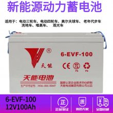 天能6-EVF-100A老年代步车大阳电动四轮洗地机12V100AH铅酸蓄电池