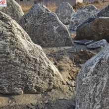 ѩʯ ͥԺɽ쾰̩ɽʯ ־ʯ