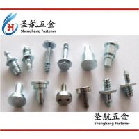 �������ݶ�����������˿ ��˨��ʥ�����