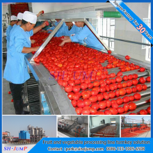 番茄丁罐头加工生产线 番茄酱调配生产线 去皮番茄罐头 番茄沙司加工机械