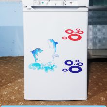 出口冰箱冰柜 中东 南美 吸收式燃气冰箱冰柜 液化气冰箱冰柜 无氟冰箱