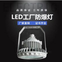 LED防爆灯 工业照明灯 加油站室外探照灯 圆形方形厂房灯