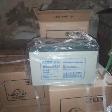 ʿDJW12-80 12V80AHʽܱ UPS/EPSֱ վ ͨѶԴ
