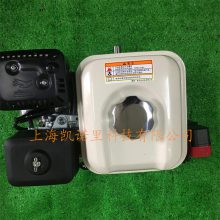 ԭװHONDA GP160ĳͻȼҩ ΢