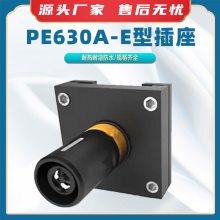 PE630A-FͲӦ糵վͷװ