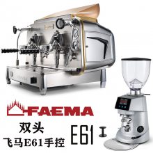FAMEA E61 A2˫ͷذԶȻʽ