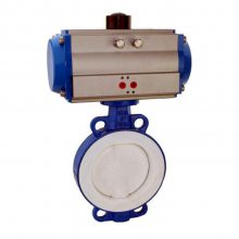 D671F46-16C DN400 Լгķֱʽķȫķֳֶķ