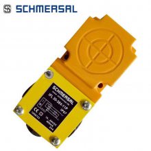 ʩӽAIE-S4P-M12/RJ45-S-G-5M-GN-2-X-D-1