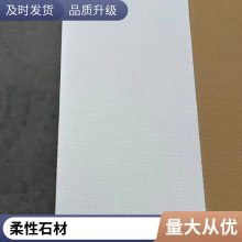 Ƭ ɫ 260*2800 Ŀ ʵѼ ˼