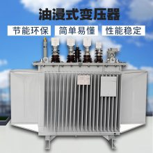 ˫ ȫͭS11/S13ϵͺ 800KVA ߹ վ ҹӦ