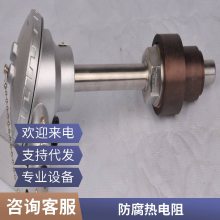 斯美特WZPK-523 引线式铂热电阻 防腐 端面热电阻 热敏电阻 WZPK-231