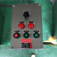 BZC8060-A2D2K1 IP65 WF2