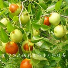 23ֶ硢3ֶһõļǮ
