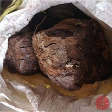 独角仙价格多少钱 独角仙多少钱一只