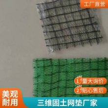 EM5植草绿化世杰三维植被网垫 河道护坡固土 规格全施工简单